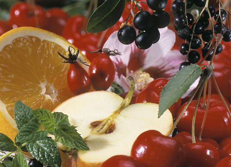 Teekanne Obst 02